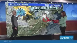 Canned Chicken And Sunny Peacock!?