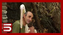«Լուլու՛, պաչիկ արա հլը». վարդագույն հավալուսնի և Հայկի անհավանական ընկերությունը