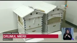 „Drumul mierii”: apiterapie și turism bazat pe produse apicole #StiriRegionale @TVRTM
