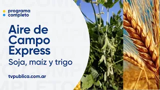 Soy: The harvest has ended and corn collection continues - Aire de Campo Express