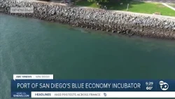 Concrete structures help marine life grow