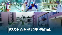 የእናት ቤት-የነገዋ ማዕከል ! | የካቲት 24/2017 ዓ.ም  Etv | Ethiopia | News zena