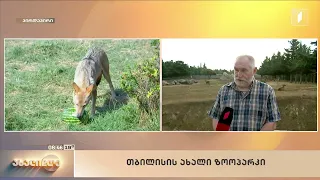 პირდაპირი ჩართვა თბილისის ახალი ზოოპარკიდან - რას ნახავენ დამთვალიერებლები ადგილზე