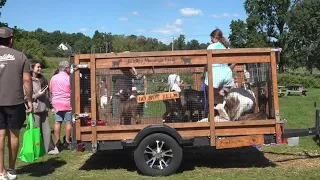 Lyman Orchards in Middlefield draws Labor Day crowds