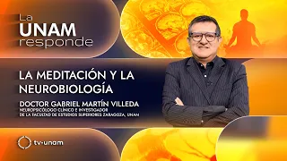 Meditation and neurobiology. UNAM Responds 1394
