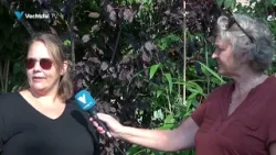 Formaldehyde gevonden in woningen in Dalfsen