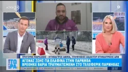 Αγώνας ζωής για ελαφίνα στην Πάρνηθα - ρέθηκε βαριά τραυνατισμένη στο τελεφερίκ Πάρνηθας