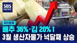 배추 36%·김 20%↑…3월 생산자물가 넉달째 상승 / SBS / #D리포트