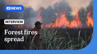 El Nino, arson exacerbate forest fires and haze across Indonesia | The World | ABC News