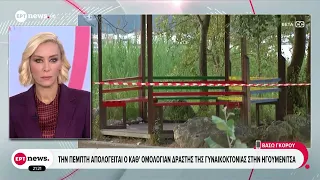 Ηγουμενίτσα: Προθεσμία για να απολογηθεί την Πέμπτη έλαβε ο καθ’ ομολογία δράστης της γυναικοκτονίας
