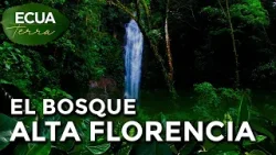 Ecuaterra? Conoce el Bosque de Alta Florencia en el corazón de la provincia de Orellana | Ecuavisa Ecuaterra? Conoce el Bosque de Alta Florencia en el corazón de la provincia de Orellana | Ecuavisa