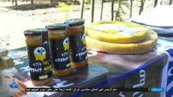 1/17/2026 ...أخبار عربية