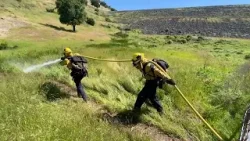 CAL FIRE trains seasonal firefighting force in North Bay to gear up for 2024 wildfire season