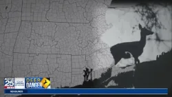 Deer danger: Massachusetts hunts for solutions in population problem spots