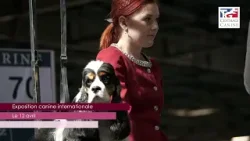 AGENDA RÉGION - 07/04/2026