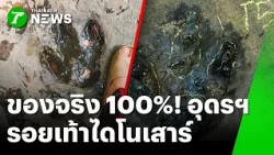 100% Real! The 3-Toed Print at Udon Waterfall is a "Carnivorous Dinosaur Footprint" | Oct 21, '26...