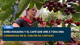 Doña Rosaura and the coffee that brings an entire community together in El Tablón de Cartago
