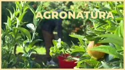 2026/03 /13  - Agronatura