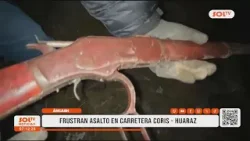 Operativo en Áncash incauta armas usadas para asaltar transportistas en carretera Coris