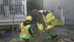 'Like a bomb went off': Out of control SUV crashes through Nanaimo yards