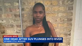 Search continues for missing woman crash into Little Calumet River