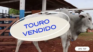 TOURO UFU 727