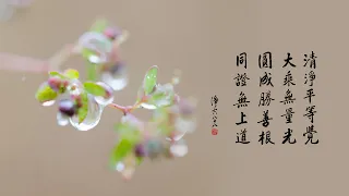 淨空老法師｜大經專修（二）｜破身見是什麼境界-第0177集