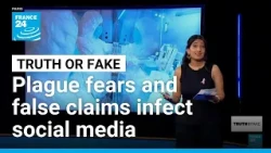 Russian lab worker’s death sparks plague fears as unverified claims spread online • FRANCE 24