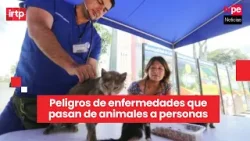 Zoonosis: riesgos de enfermedades transmitidas de animales a humanos