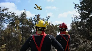 Лесной пожар близ Нарбонны во Франции охватил 100 гектаров