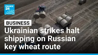 Ukraine strikes halt shipping on key wheat route as Russian fuel crisis deepens • FRANCE 24