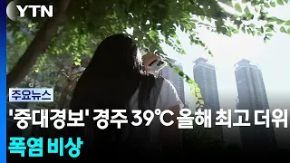 '중대경보' 경주 39℃ 올해 최고 더위...당분간 폭염 비상 / YTN