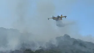 Φωτιά Παλαιόπυργος