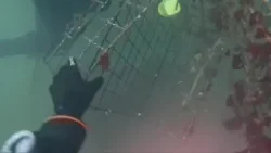 Дайверы с острова взяли в свои руки очистку от брошенных рыболовных снастей.