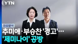 추미애·부승찬 '경고'...'제미나이' 공방 / YTN