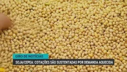 Colheita de soja no Brasil atinge 24,7%, aponta Conab | Giro de Notícias