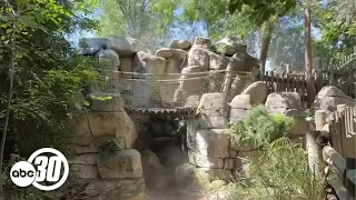 Fresno Chaffee Zoo gets pushback on closing Tropical Rainforest Aviary