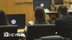 Chandler woman sentenced for dog abuse