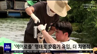 공기 중에 '녹조 독소' 떠다니는데..전국 철인3종대회 개최