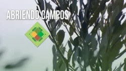 Abriendo Campos - 15 de enero de 2026 - 2ª Parte