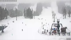 В связи с проливными дождями на острове Ванкувер объявлено предупреждение о сходе лавин.