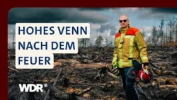 Großbrand Hohes Venn: Gibt es noch Hoffnung für das Naturschutzgebiet? | WDR