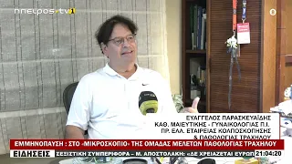 ΕΜΜΗΝΟΠΑΥΣΗ  ΣΤΟ «ΜΙΚΡΟΣΚΟΠΙΟ» ΤΗΣ ΟΜΑΔΑΣ ΜΕΛΕΤΩΝ ΠΑΘΟΛΟΓΙΑΣ ΤΡΑΧΗΛΟΥ