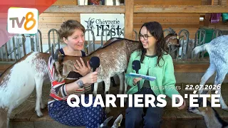 Summer Neighborhoods - The Goat Farm of the East