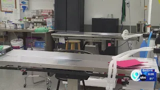 New clinic director named at Spay and Neuter Syracuse