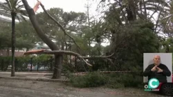 NOTICIAS OC 1º EDICIÓN 13 02 2026 ONDA CADIZ TV