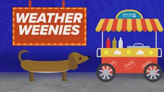 Weather Weenies: Friday, August 21