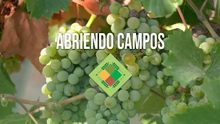 Abriendo Campos - 20 de agosto de 2026 - 1ª Parte