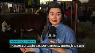 Genetics and reproduction take center stage in the quest for herd efficiency