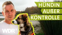 Starker Jagdtrieb: So klappt der Rückruf beim Hund | Hunde verstehen | S07/E02 | WDR